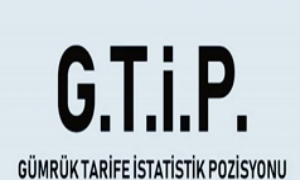 gtip-listeleri